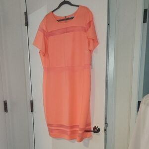 Elegant Orange Dress